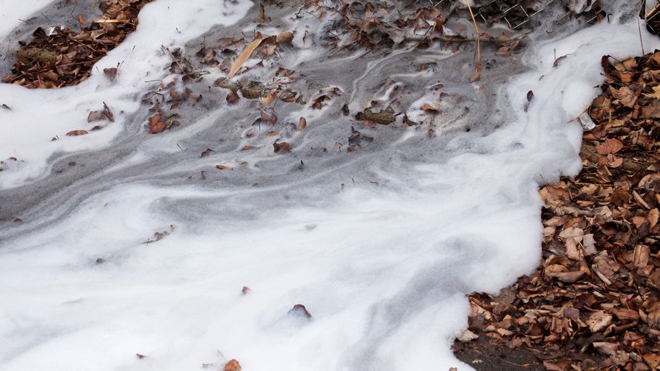 Foamy white water lapping over brown leaves.