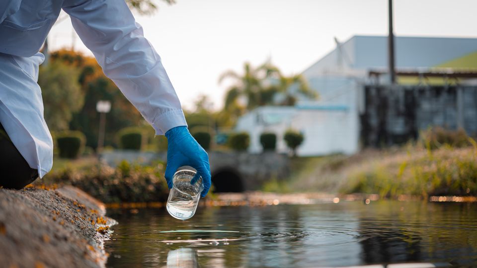 A scientist uses a glass beaker to take a water sample from a river.