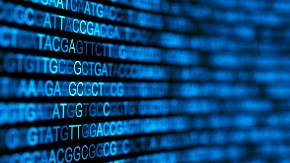 DNA sequence data displayed on screen representing NGS analysis.