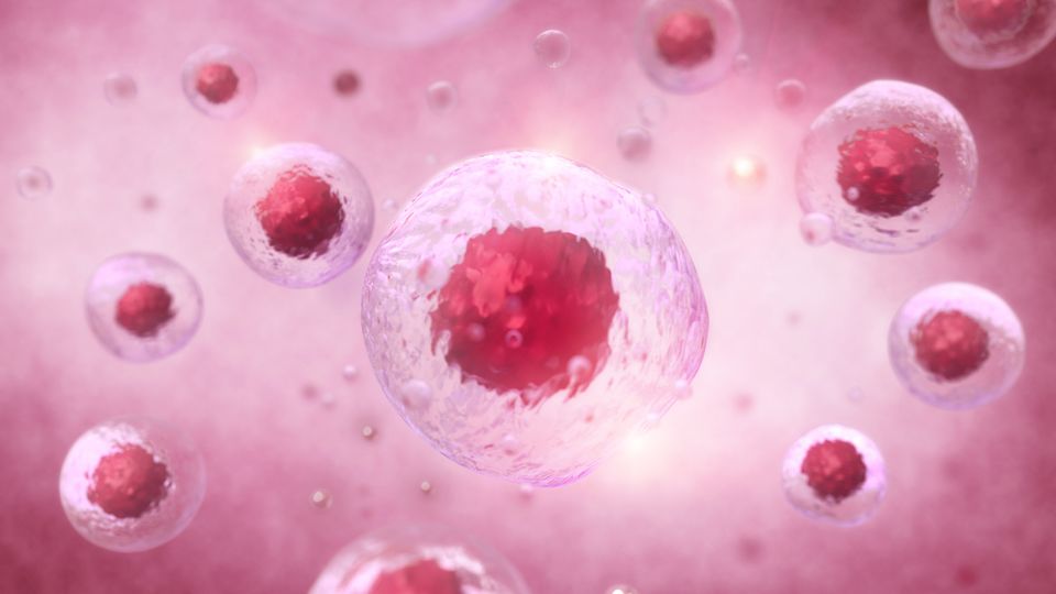 3D illustration of cells with red cores representing blood protein structures in plasma.