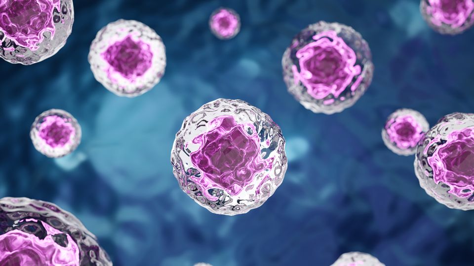 An digital render of pink cells floating in blue space.