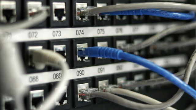 LAN wires in the back of many ports. Blue and white.