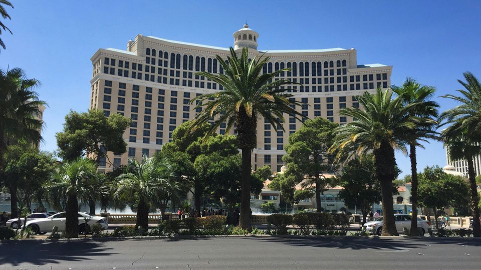Palm trees in front of the Bellagio Hotel & Casino in Las Vegas.
