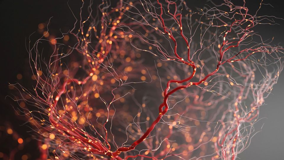 3D rendering of interconnected neurons with glowing synapses representing neural communication.