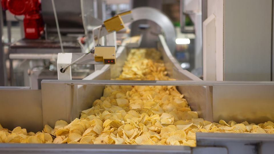 A conveyor belt of crisps/chips in a factory.