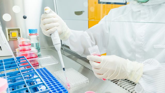 Person in full PPE pipettes a pink fluid into a plastic well in a convection cupboard. 