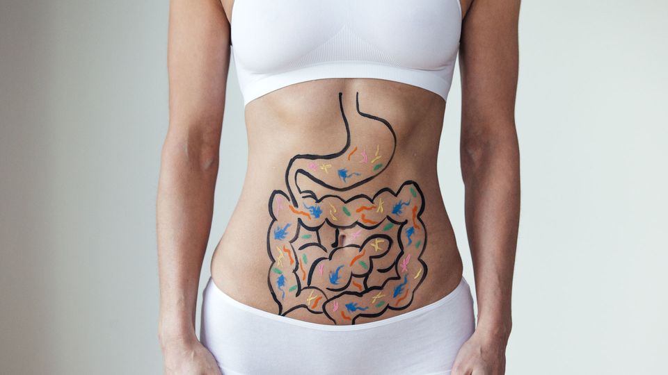 Individual with gut and gut bacteria drawn onto their torso.
