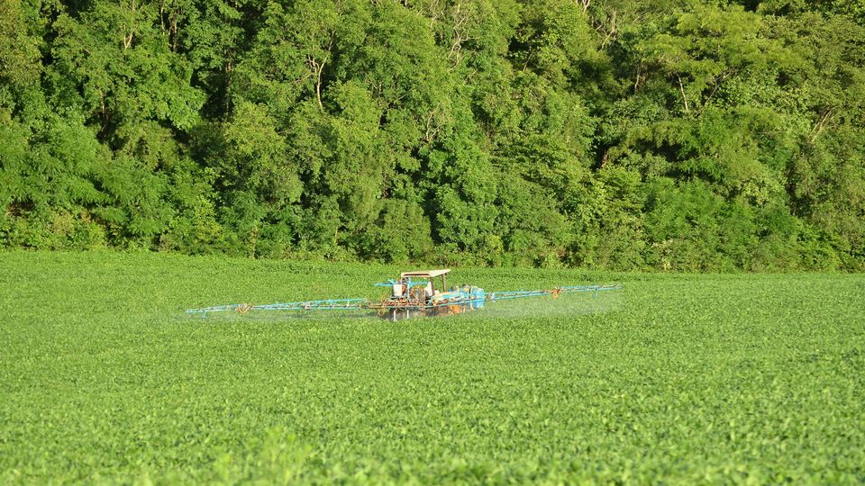 A tractor in the distance sprays a field of green crops from two "wings".