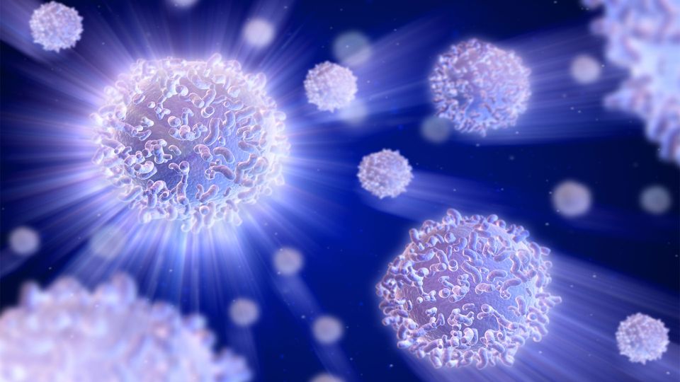 Illustration of purple iridescent T cells.