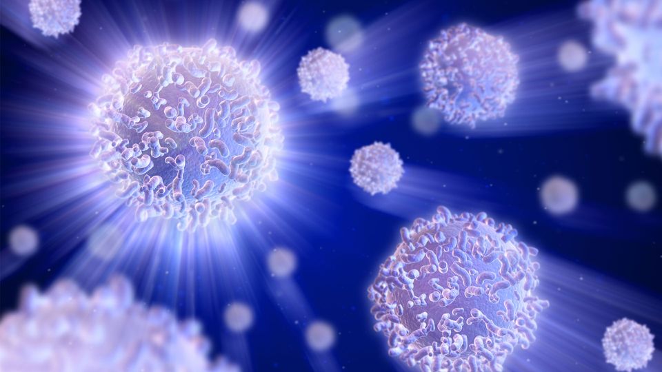 T cells with surface proteins visible, illustrating the signaling that shapes the structure of the thymus.