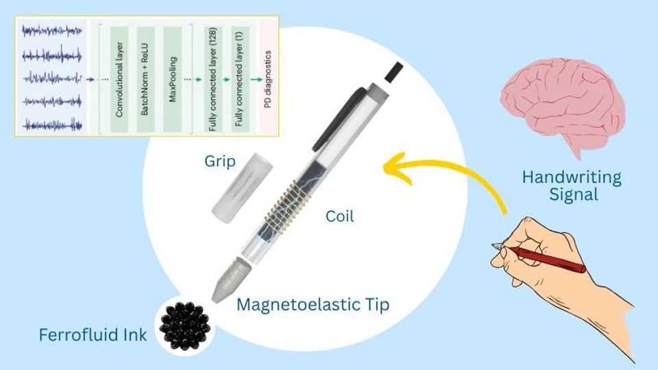 An illustrated diagram showing the pen, its ferrofluid ink, a hand and a brain.