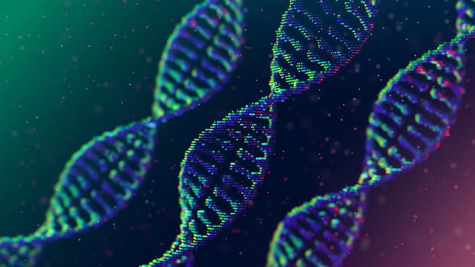 3D digital representation of a DNA strand, symbolizing the CRISPR gene-editing technology.