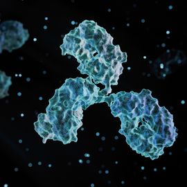 3D rendering of monoclonal antibodies. 