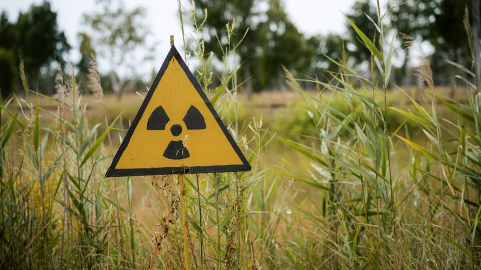 A yellow and black radioactivity warning sign in a green, grassy field.