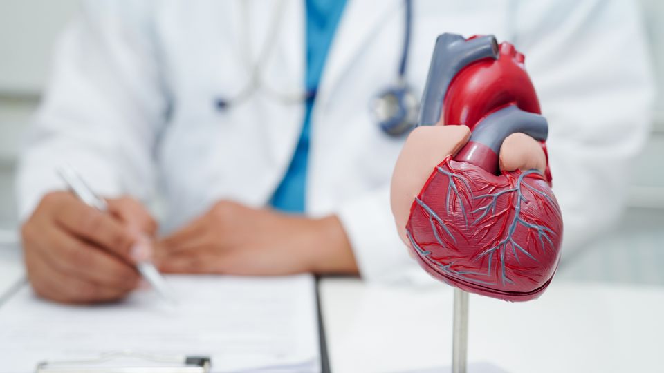 A model of a heart on a desk near a doctor taking notes.