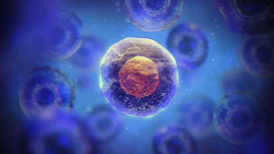 A digital render of an orange cell floating on a blue background.