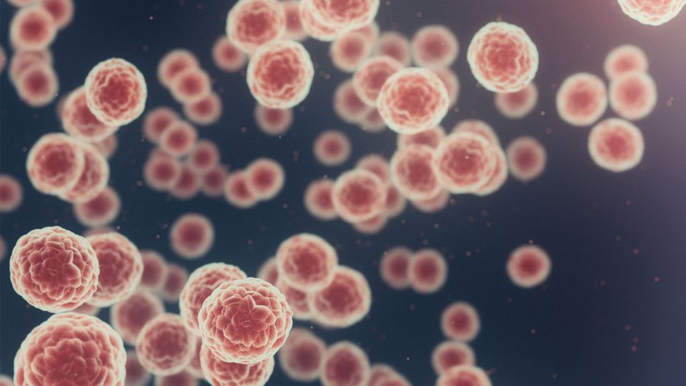 Illustration of multiple microscopic red cancer cells.