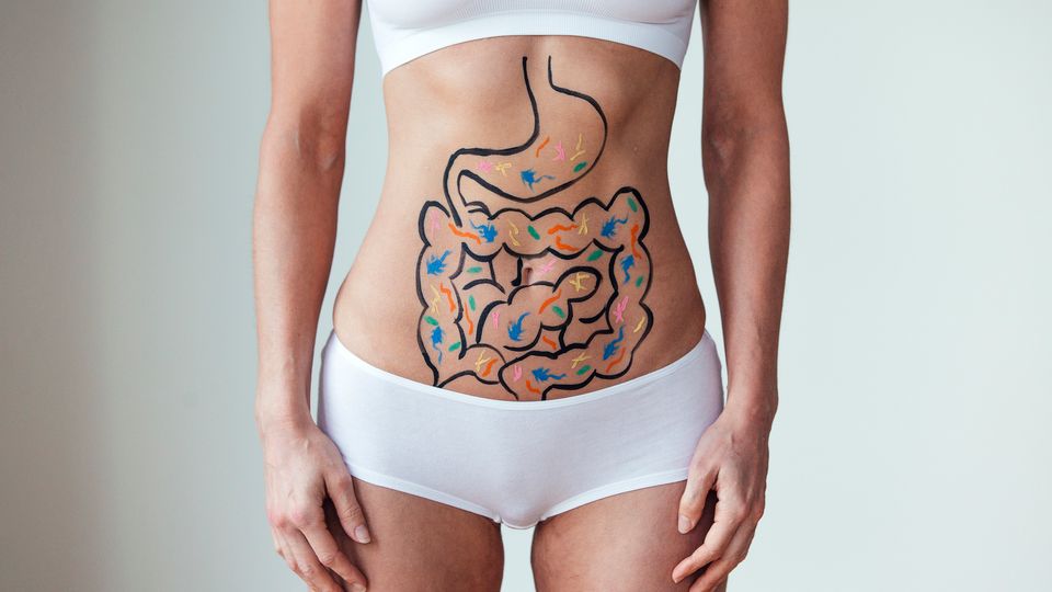 A woman in white underwear with an illustration of the stomach and intestines drawn onto her stomach in black marker.