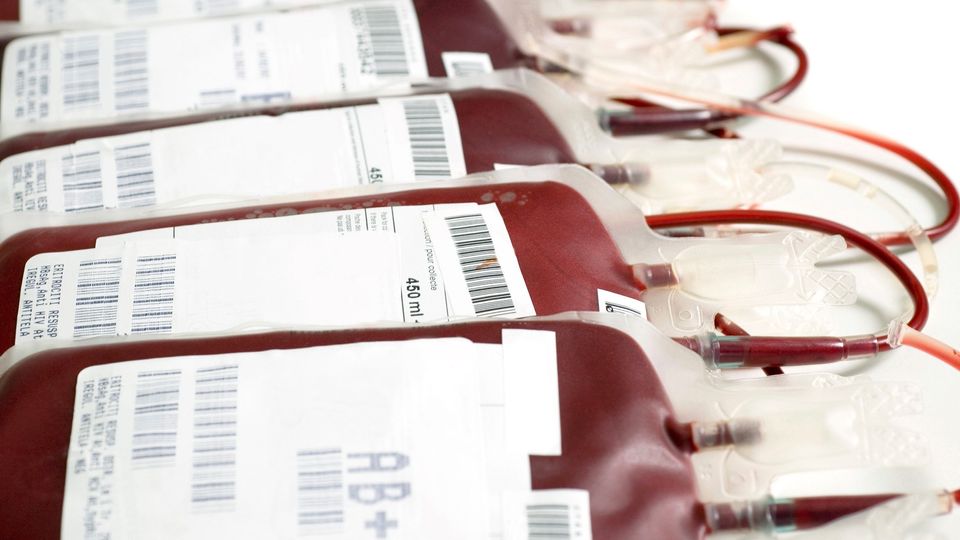 A group of blood bags, lying on a white surface.