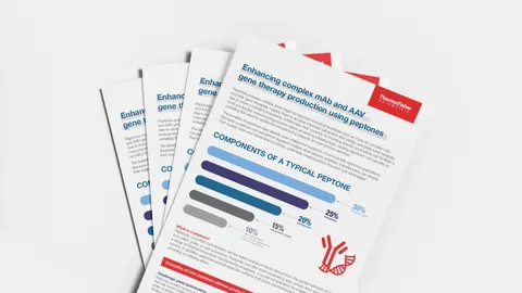 Thermo Fisher infographic detailing components of peptones for enhancing monoclonal antibody and gene therapy production