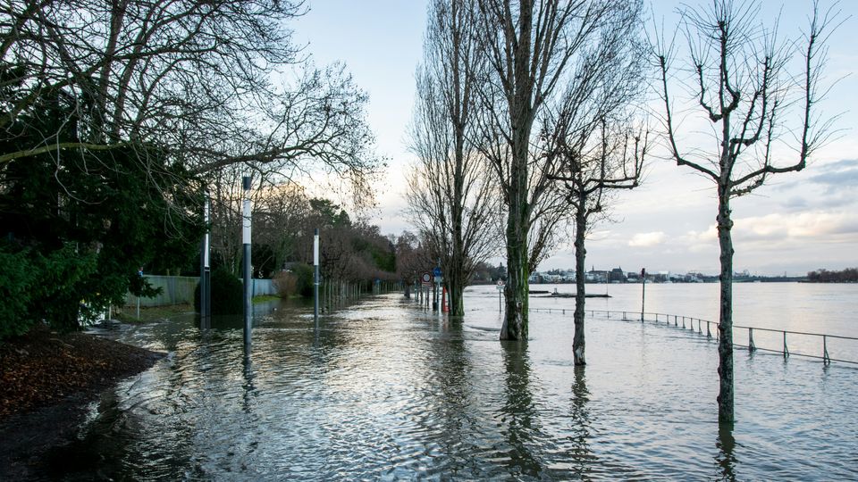 A flooded street in Bonn, Germany. The river (in the right of the image) has visibly burst its banks. Trees visible.