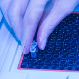 Hand placing PCR tubes into a thermal cycler under blue lab lighting. 