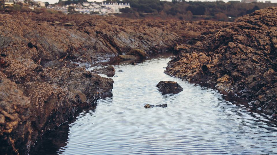 The rockpools of Falmouth, UK, town visible in the background.