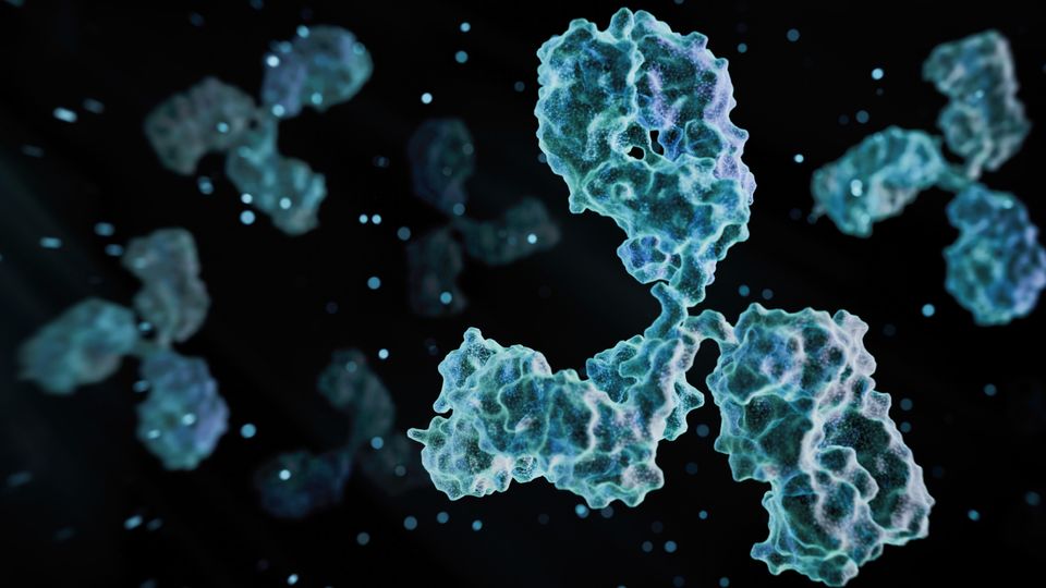 A blue cell featuring a white cell located at its center.