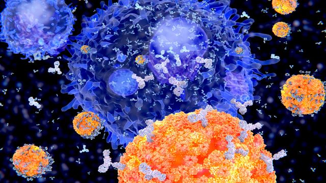 Illustration of B cells targeting a pathogen.