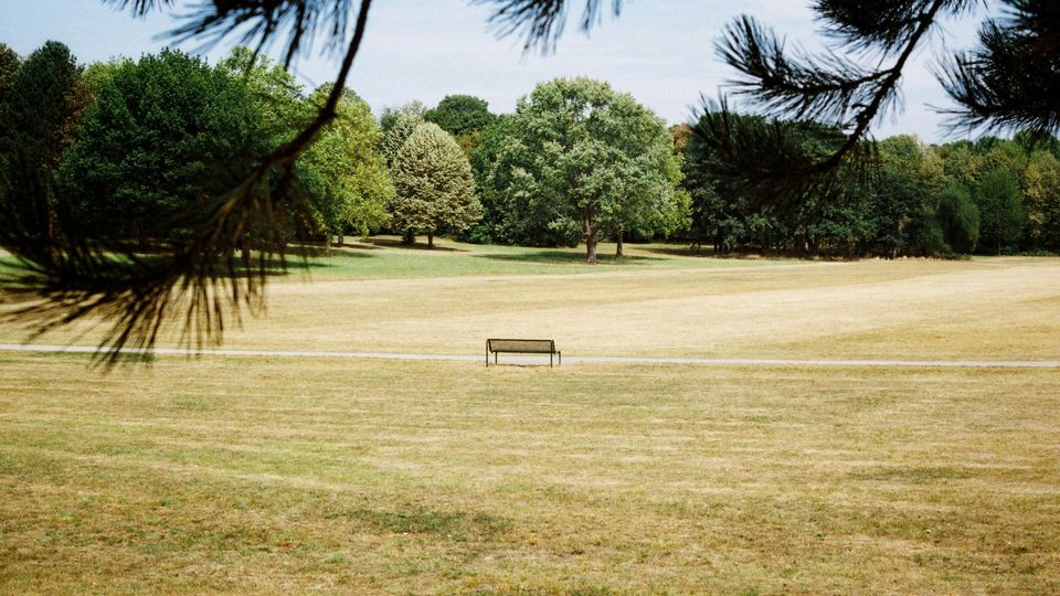 An empty park bench, grass in surrounding fields yellowed and dried. Trees in distance still green.