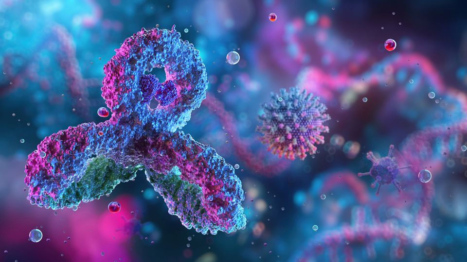 3D illustration of antibody and virus particles highlighting glycan structures for glycan analysis.