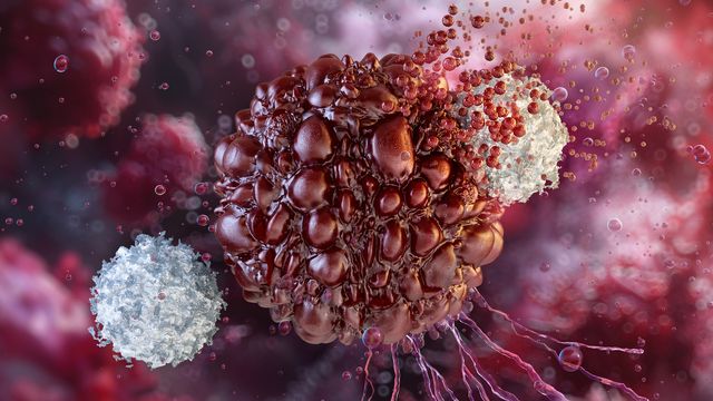 3D illustration of CAR T cells attacking a cancer cell, highlighting cellular aging processes.