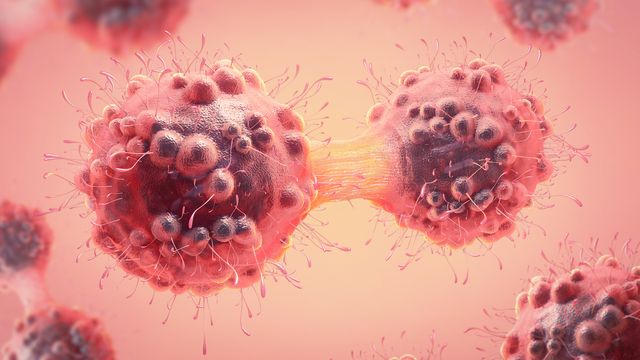 A graphic of two cells splitting. Colours red, pink and orange. 