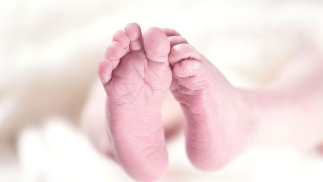 A new born baby's feet.