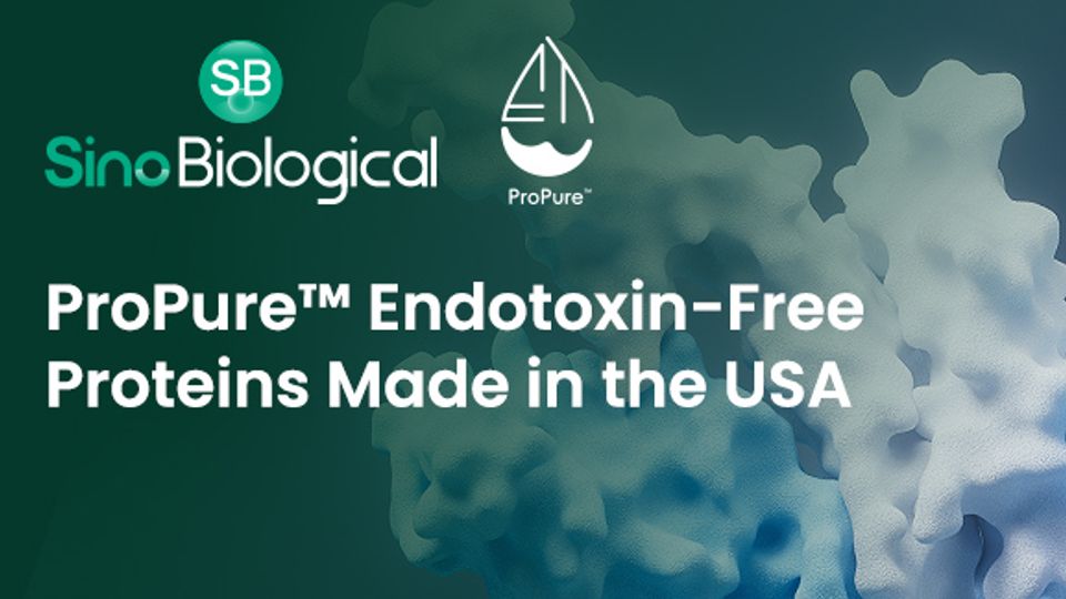 Sino Biological ProPure™ ad promoting endotoxin-free proteins made in the USA.