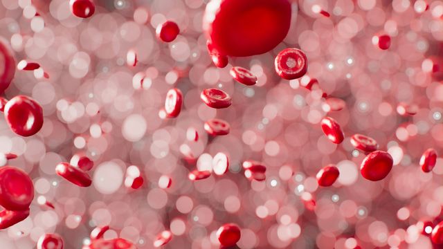 A digital illustration of red blood cells flowing across a pink background.