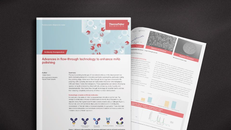 Thermo Fisher Scientific technical note highlighting advances in mAb polishing using flow-through chromatography.