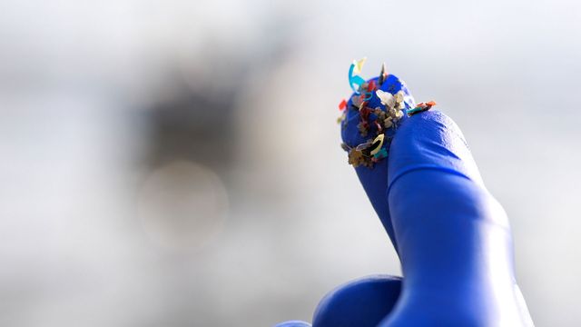A gloved hand holding microplastics between their thumb and first finger.