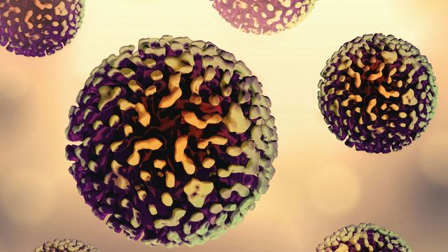 New Study Finds Evidence of Hepatitis C Virus in Cells Lining Human Brain