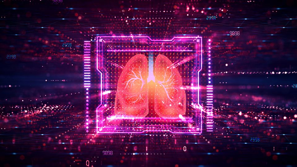 A pair of lungs floating in a data-like space, outlined by an 8-bit pink box