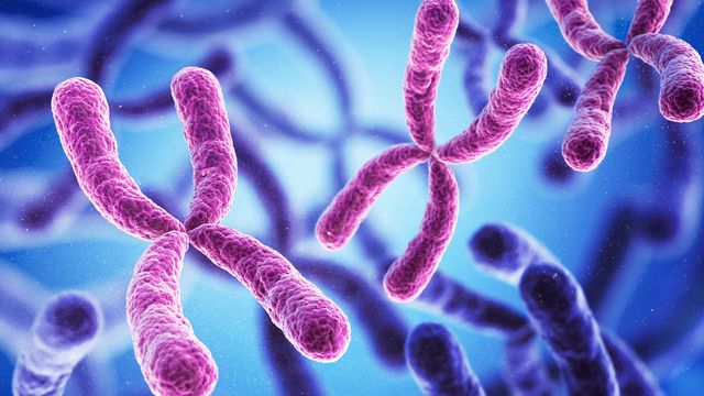 Illustration of chromosomes.