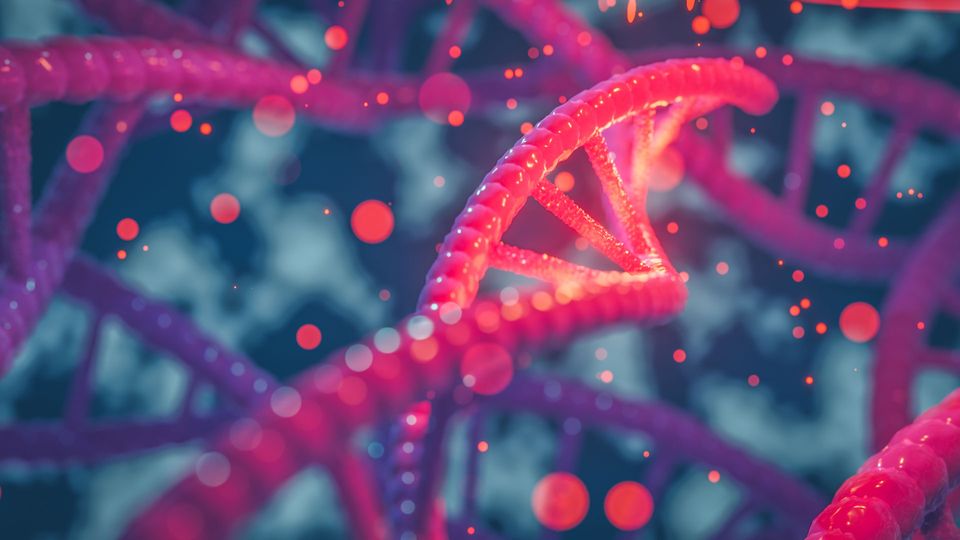 Illustration of multiple pink, beaded, DNA double helix.