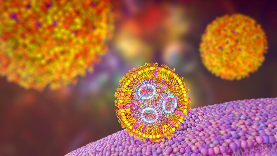 Lipid nanoparticles carrying mRNA approaching a cell membrane.