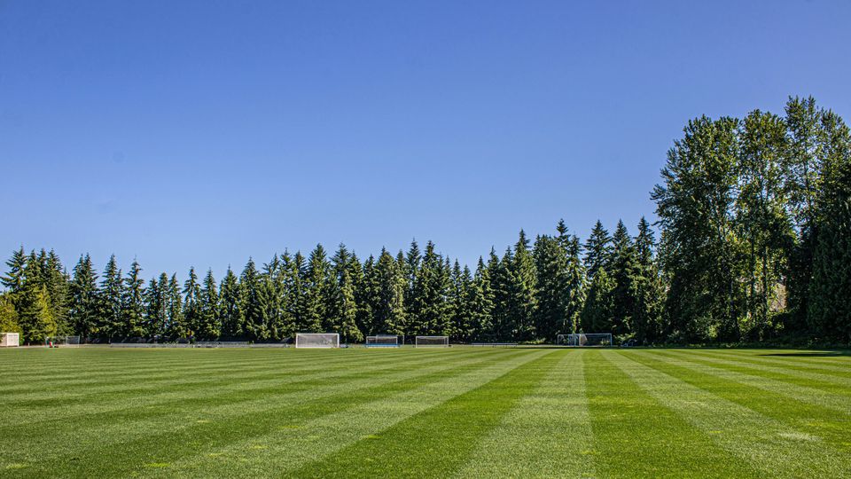A trimmed grass sports field, goals and treeline in background.