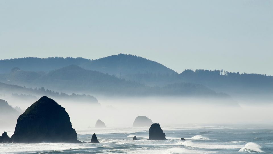 The surf of the Pacific lapping on the forested shores of Oregon. Mist and jagged rocks visible.