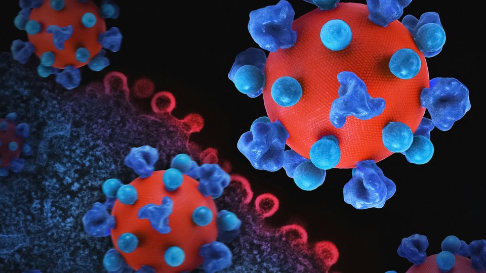 A colorized transmission electron micrograph of HIV virus particles budding and replicating from an H9 T cell.
