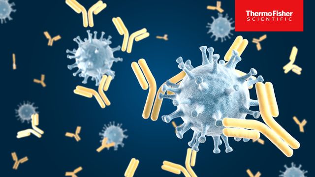 3D illustration of monoclonal antibodies binding to virus particles, highlighting immune response. 