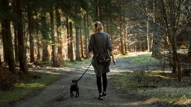 Woman walking a dog in woods.