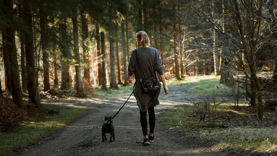 Woman walking a dog in woods.