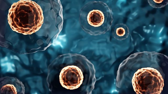 3D illustration of stem cells with glowing nuclei floating in a fluid environment.